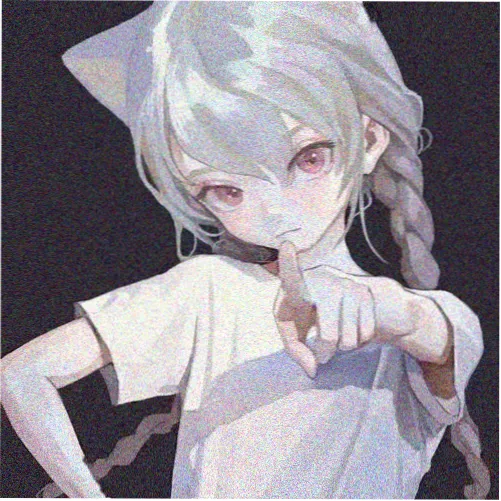 金马骑士